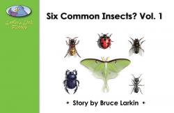 Six Common Insects Vol. 1