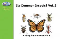 Six Common Insects Vol. 2