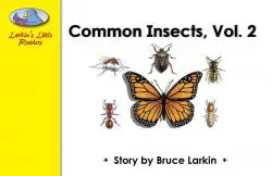 Common Insects Volume 2