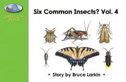 Six Common Insects Vol. 4