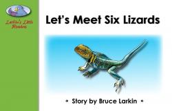Let’s Meet Six Lizards