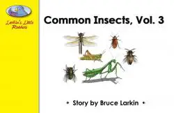 Common Insects Volume 3