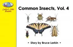Common Insects Volume 4